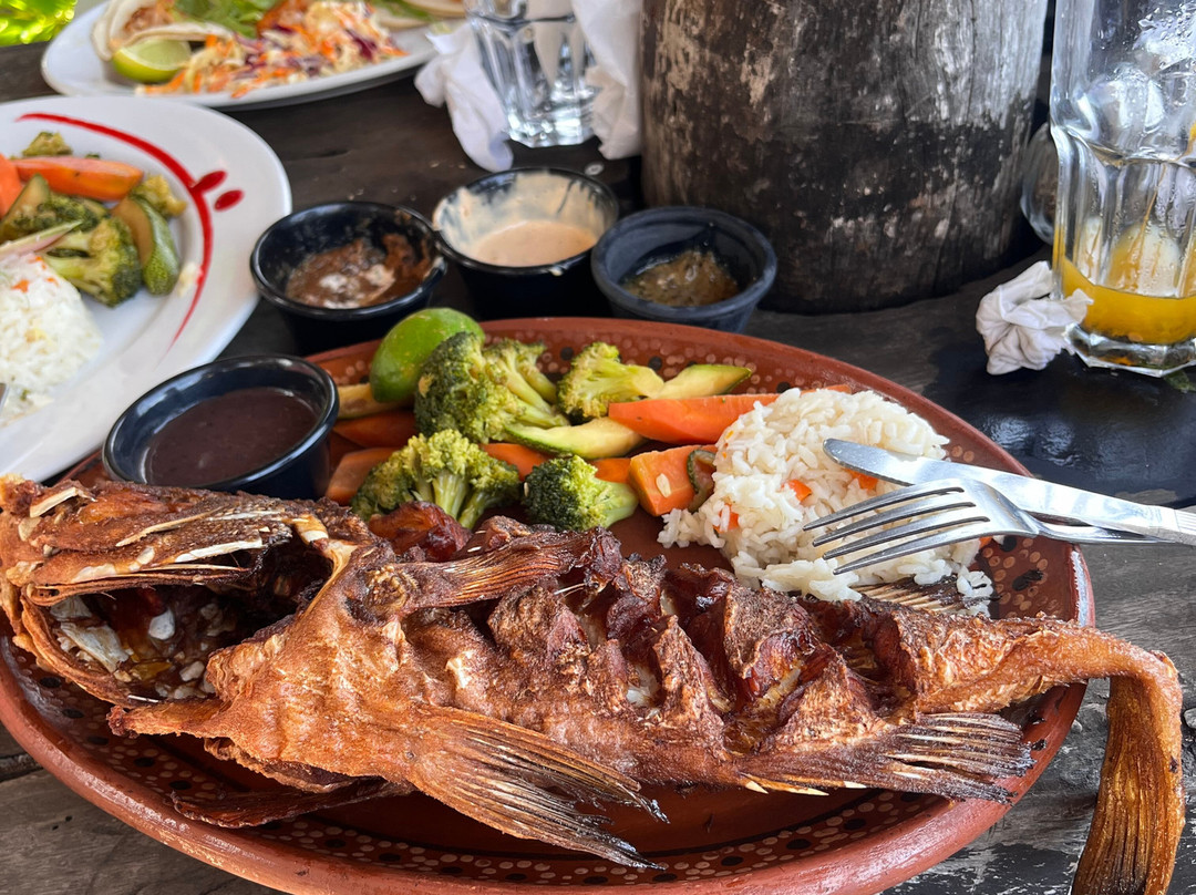 Genchi Family Tours & Transportation-普拉亚德尔卡曼必去景点