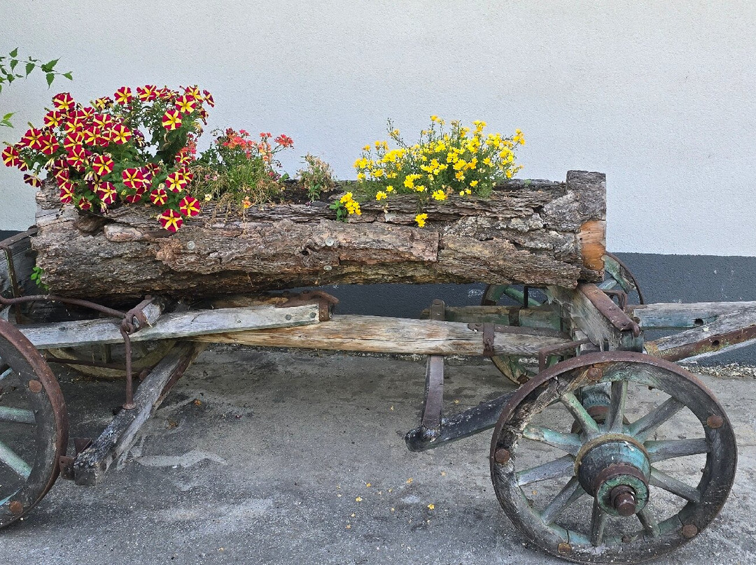 Almhotel Bergerhof主图