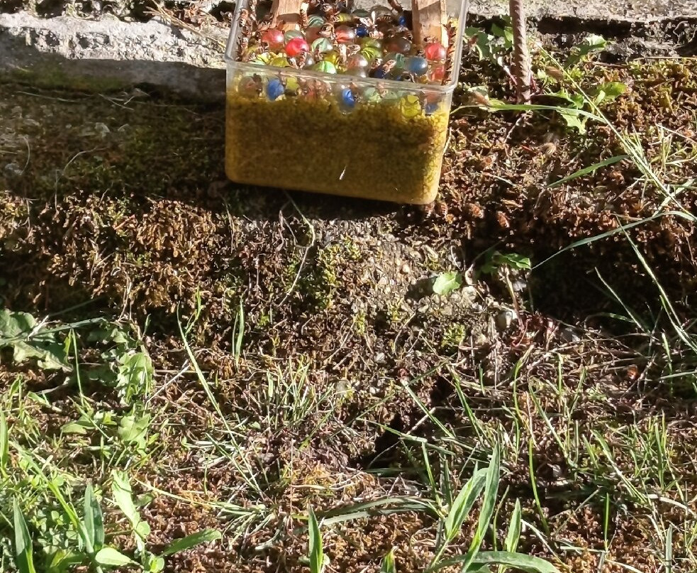 Parco Della Lavanda-Campotenese必去景点