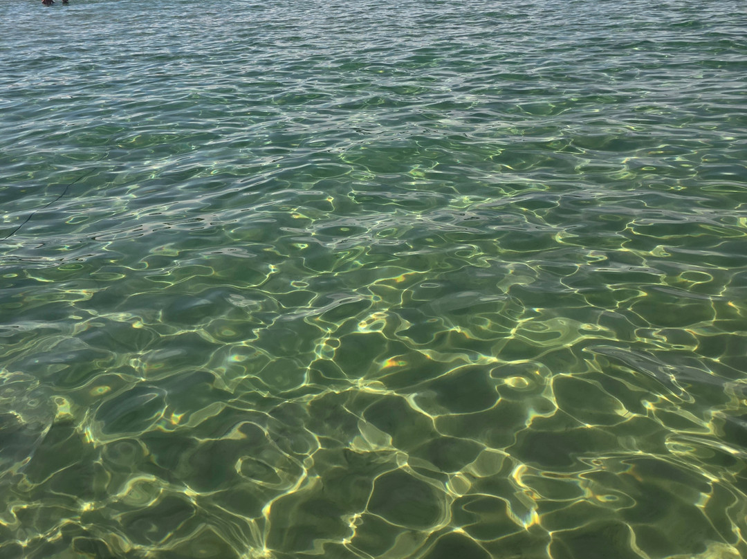 Northaire Resort Pontoon Rental-Bellaire必去景点