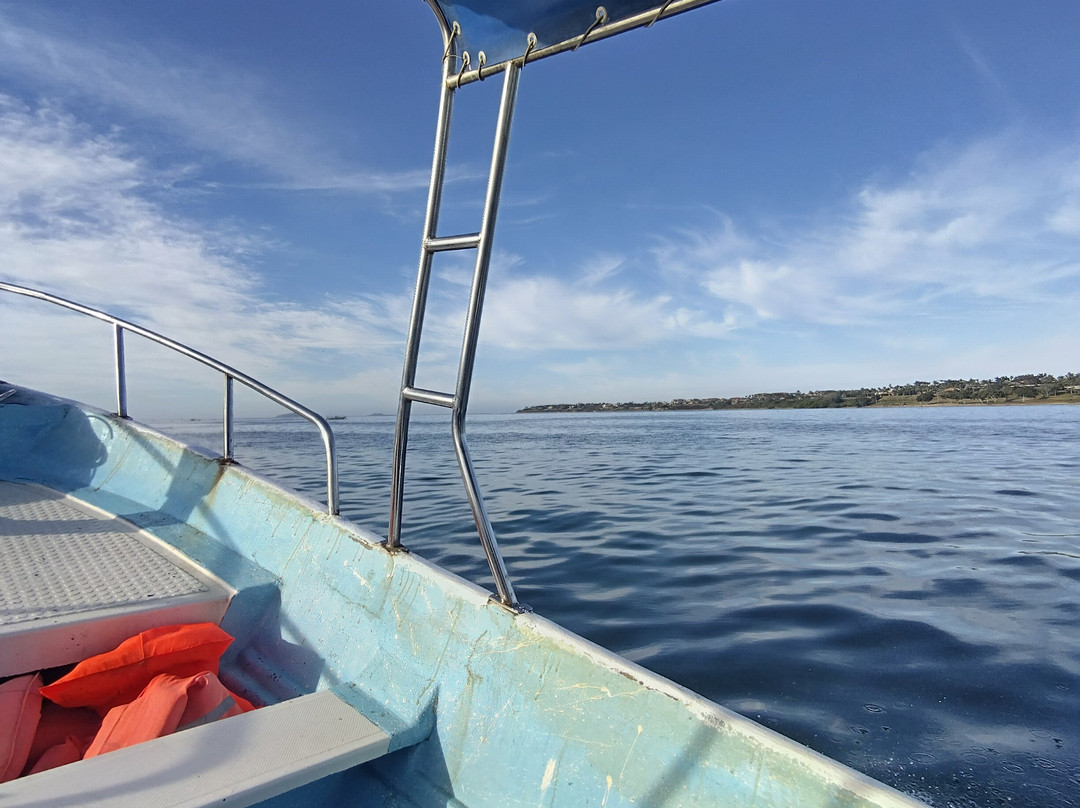 Dressel Divers Puerto Vallarta-蓬塔米塔必去景点