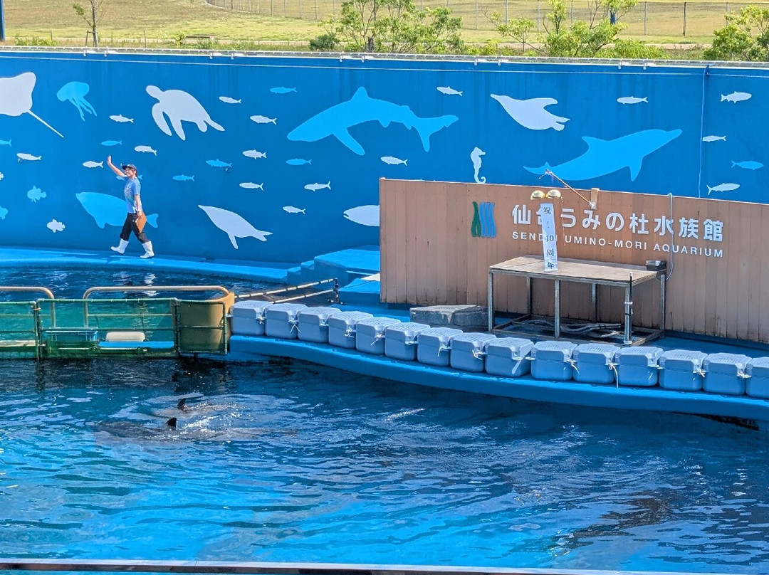 Sendai Uminomori Aquarium-仙台市必去景点