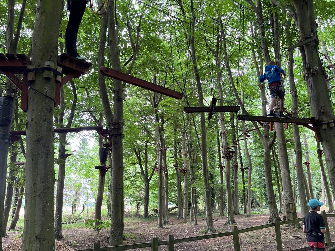 Jungle Parc-斯温顿必去景点