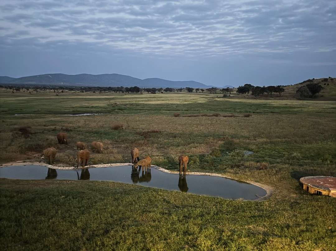 Alex Safaris-山祖必去景点