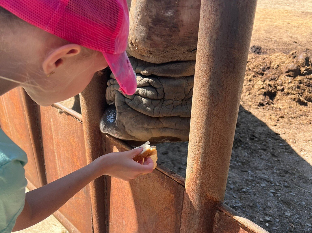 Beavers Bend Safari Park-Hochatown必去景点