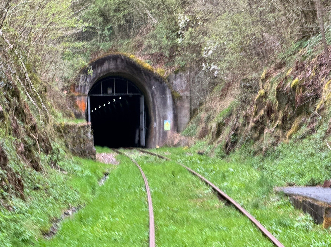 Ueberwaldbahn-Wald-Michelbach必去景点