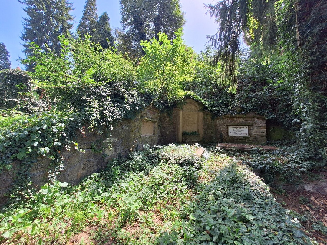 Cementerio aleman de Sighisoara-锡吉索拉必去景点