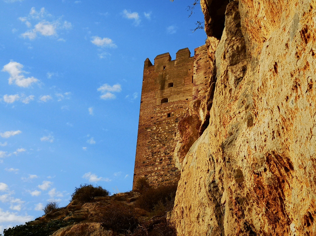 Manuel Guía Oficial de Turismo-萨洛夫雷尼亚必去景点