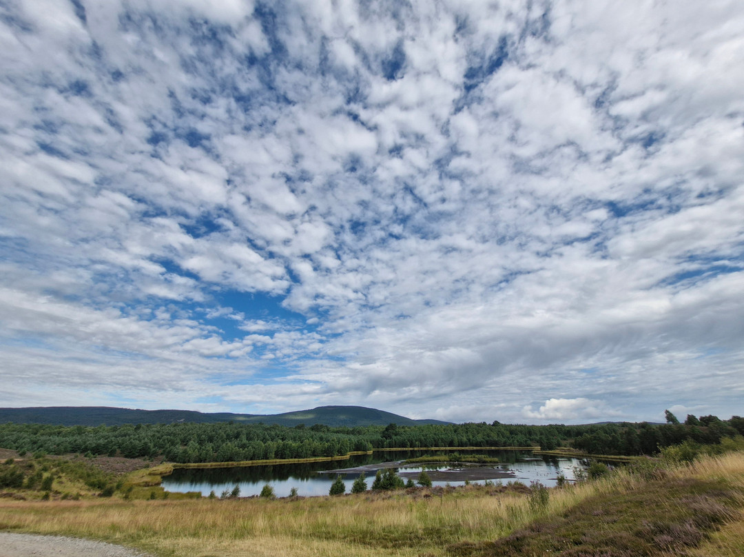 Macdonald Spey Valley Championship Golf Course-阿维莫尔必去景点