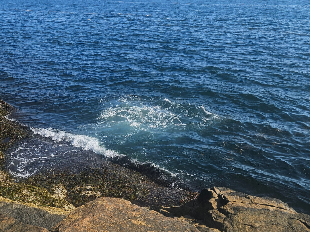 Battle of Aiken Reenactment-艾肯必去景点