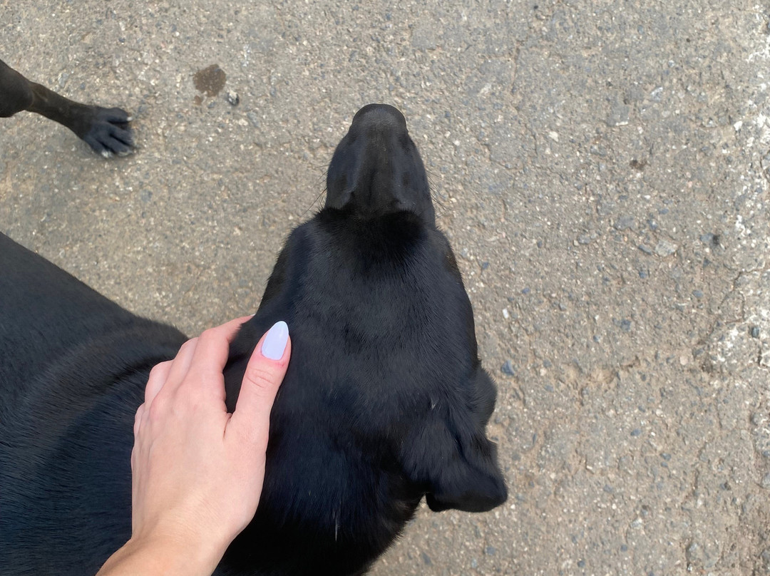 Apiário Flores da Serra-蒙特贝尔德必去景点