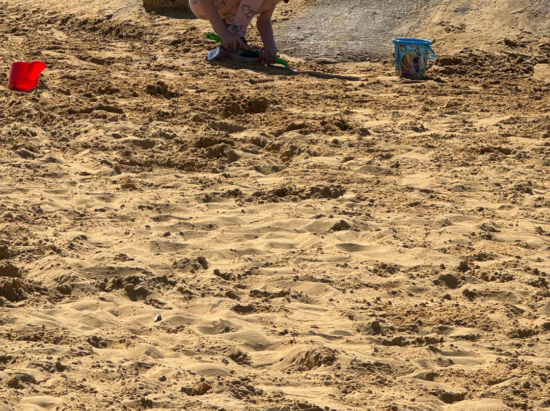 Piglets Adventure Farm-约克必去景点