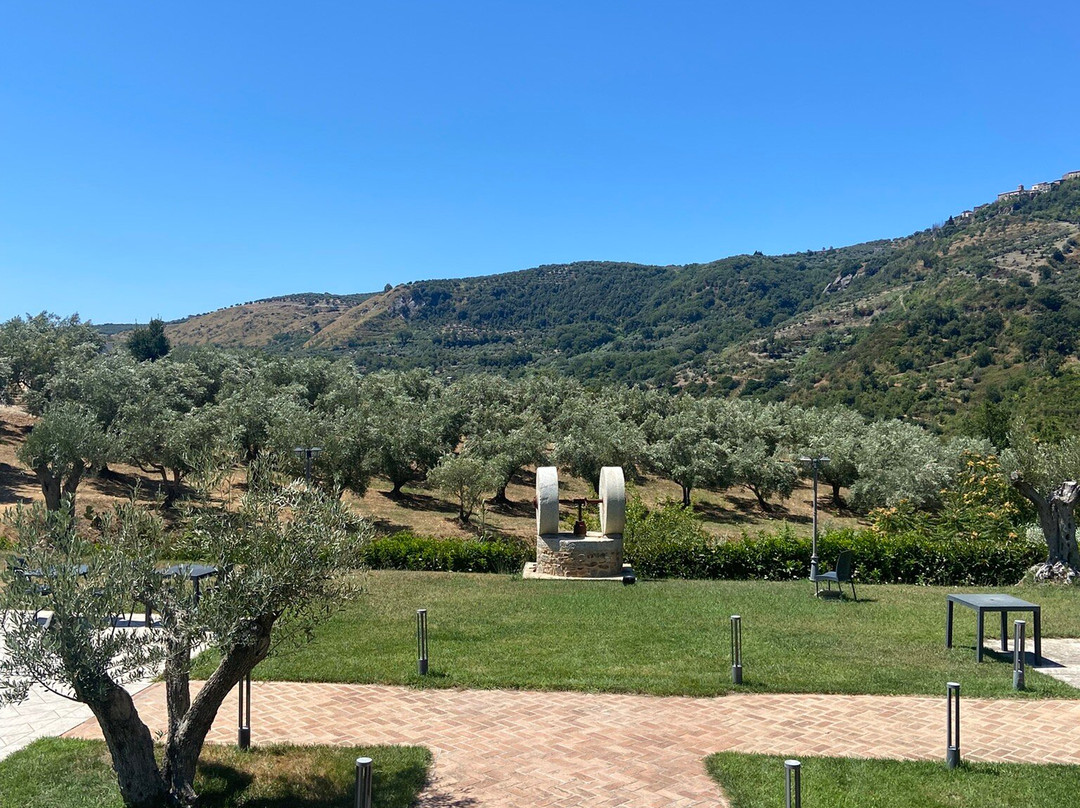 Agriturismo Manfredi主图