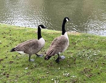 Warminster Lake Pleasure Grounds-沃敏斯特必去景点