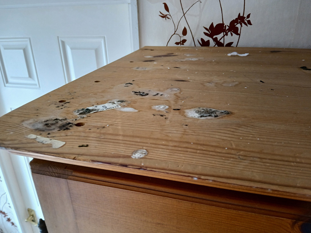 希望之锚酒店主图