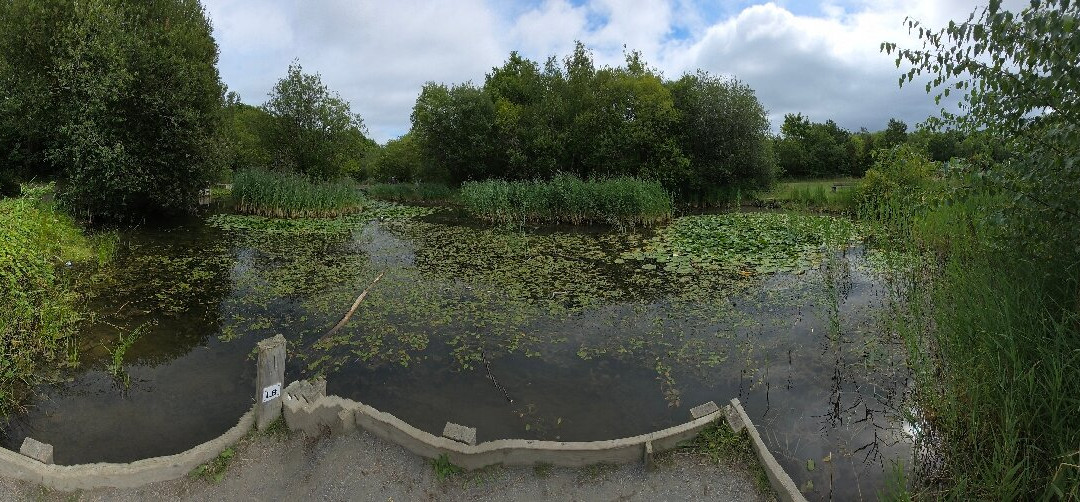 Shorne Woods Country Park-Shorne必去景点