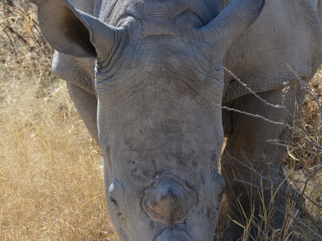 Okangala Tours & Safaris-华维斯湾必去景点