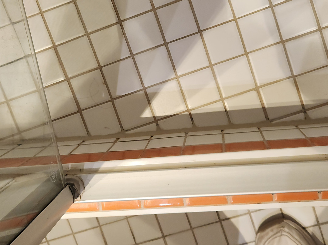 瓦斯勒本酒店主图