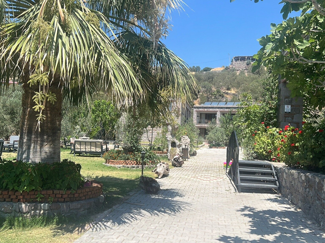 Assos Hestia Otel主图