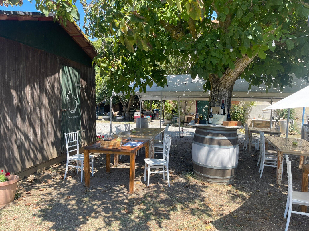 Tenuta La Macchia-Montescudaio必去景点