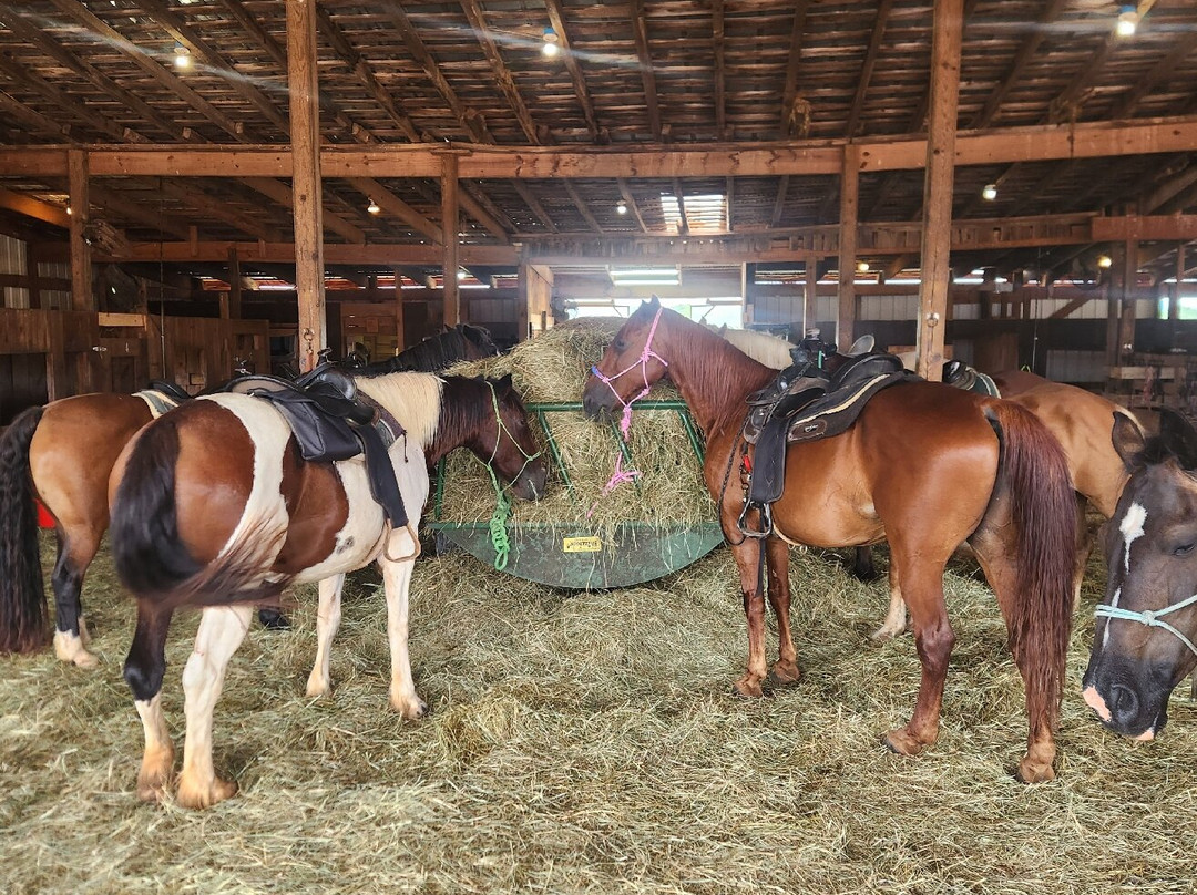 Spring Valley Farm-Moneta必去景点