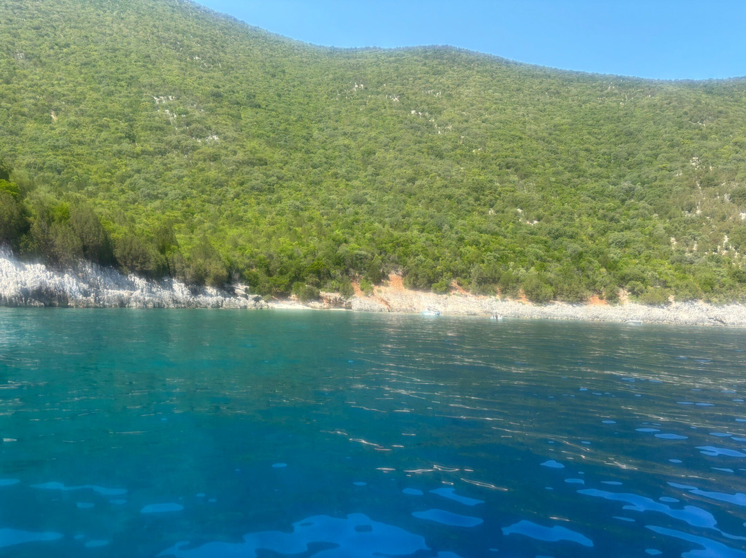 George's Boat Rentals