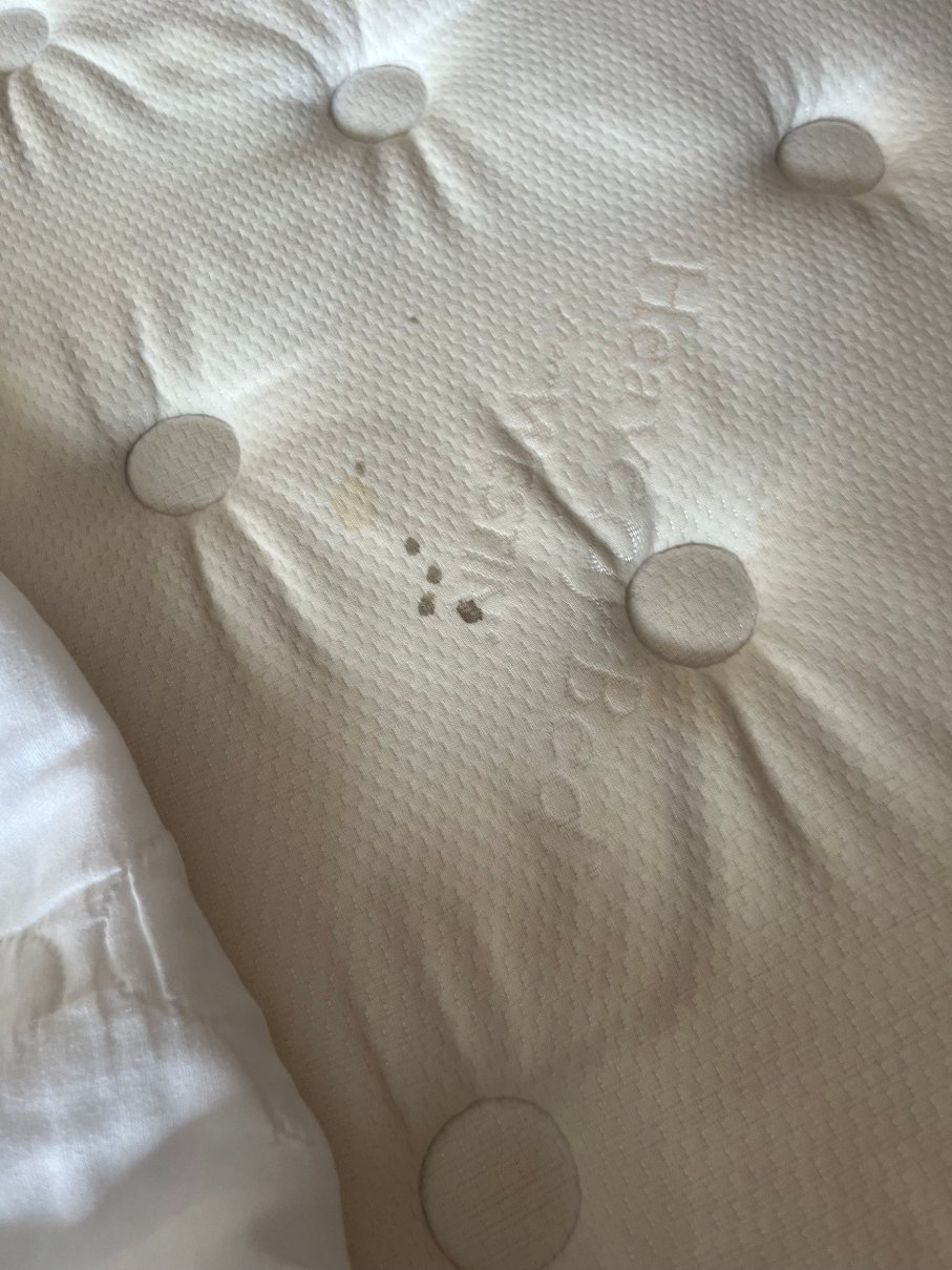 国会广场酒店-杰斐逊市-官方