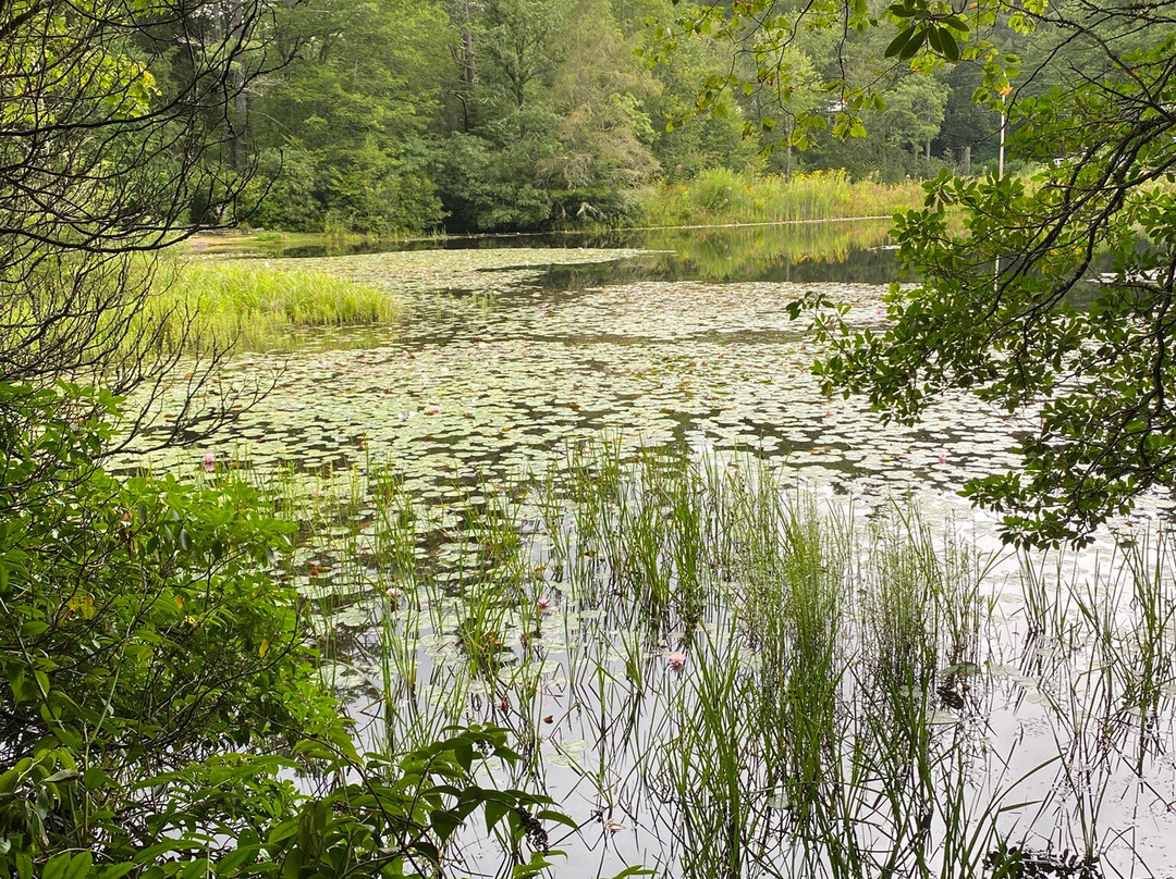 Highlands Biological Station, Nature Center and Botanical Gardens-海兰兹必去景点