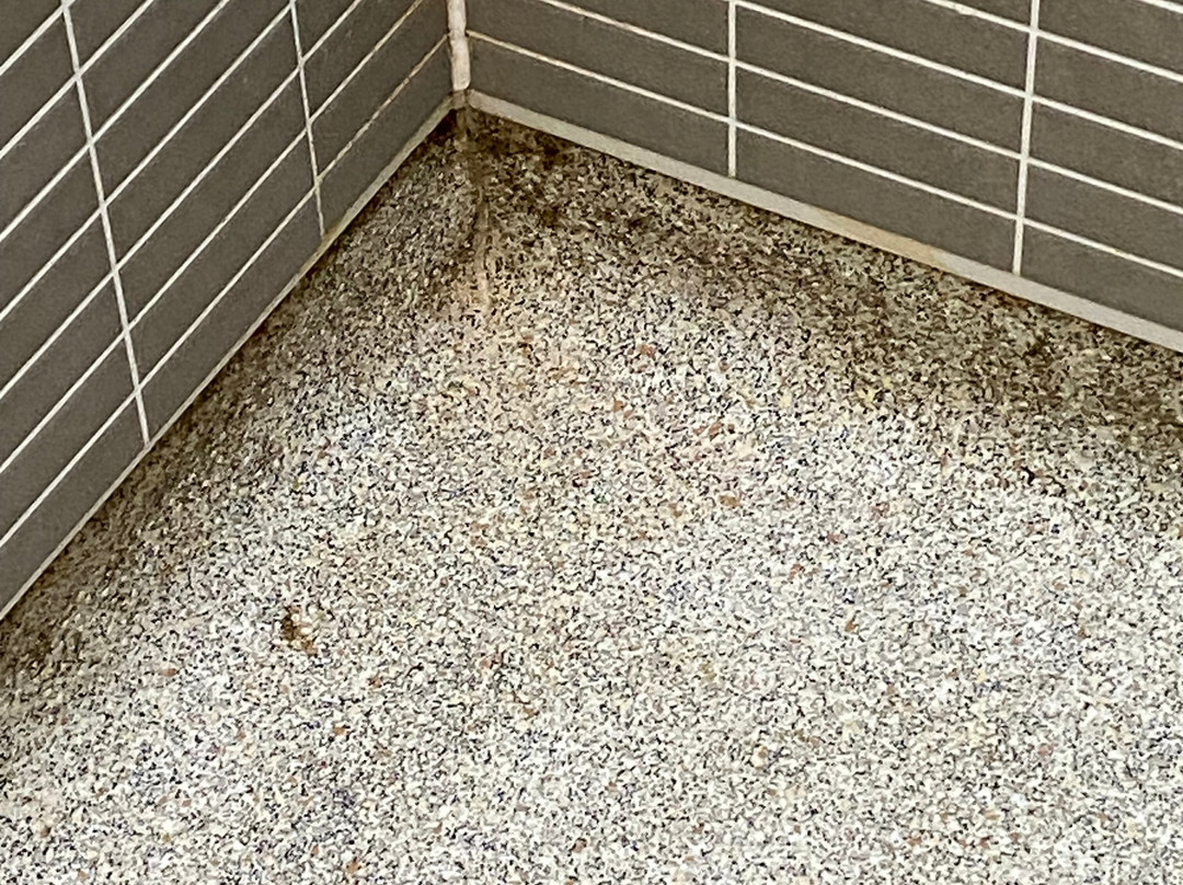 Holiday Inn Glasgow - East Kilbride by IHG主图