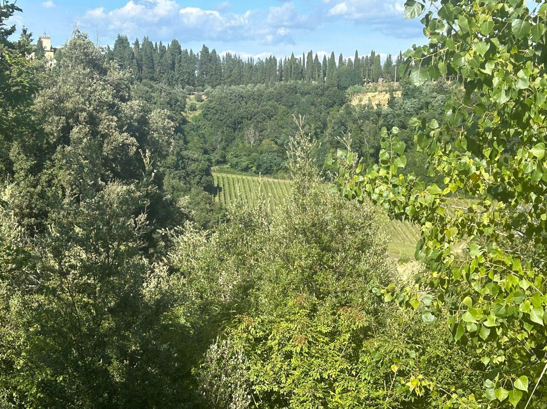 Fattoria Di Colleoli主图