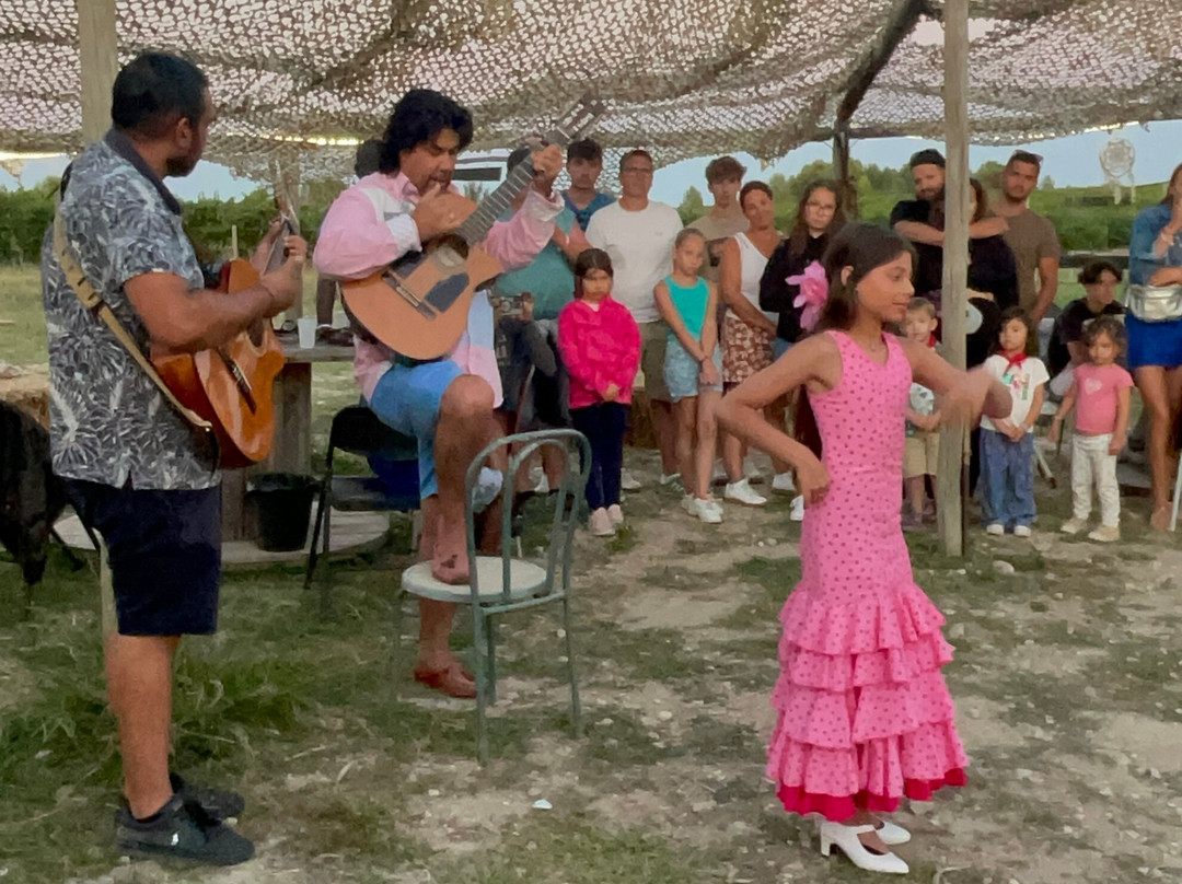 Manade Vitou de Fontmarie-Castries必去景点