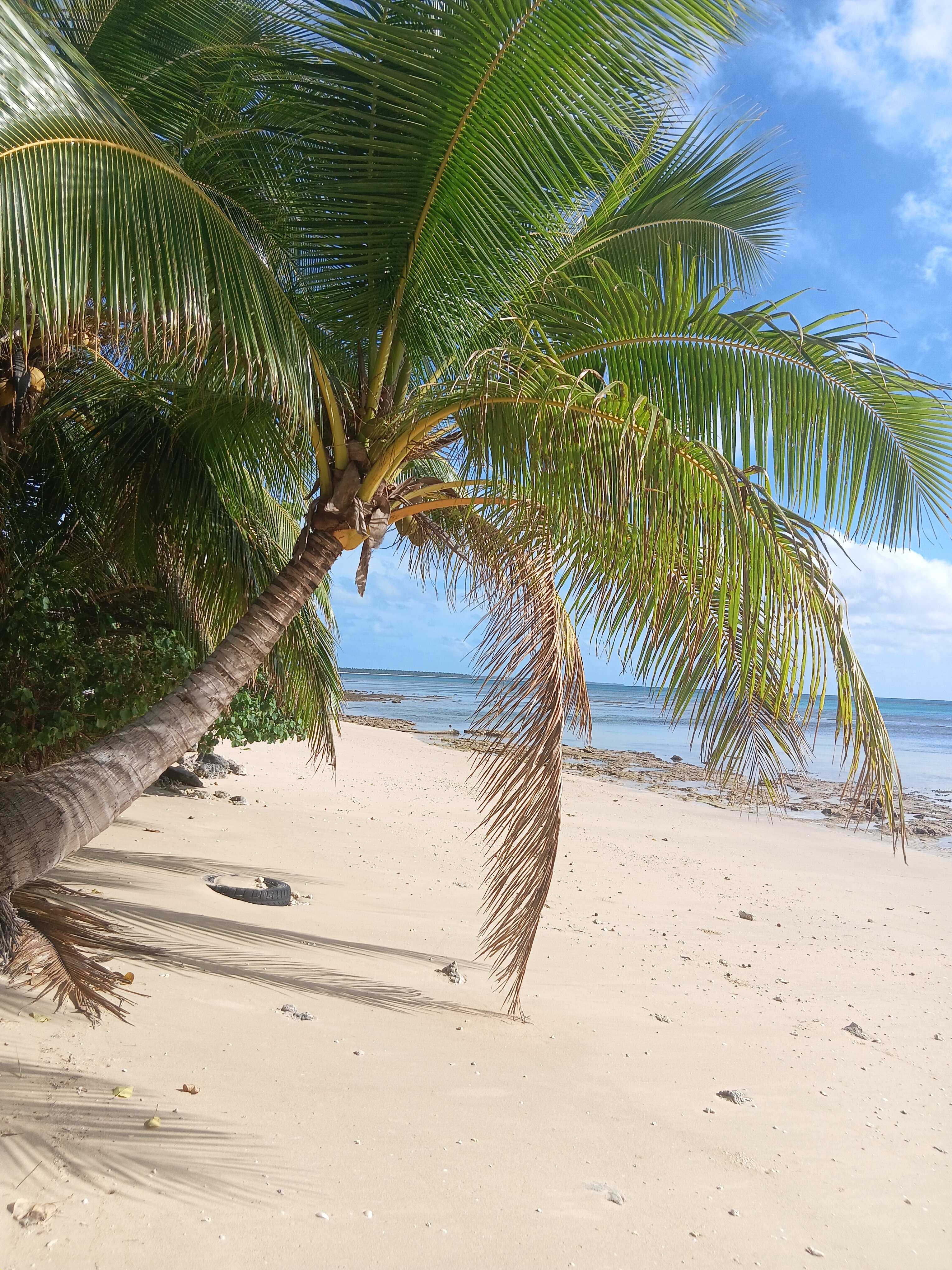 Ha'apai Beach Resort-官方