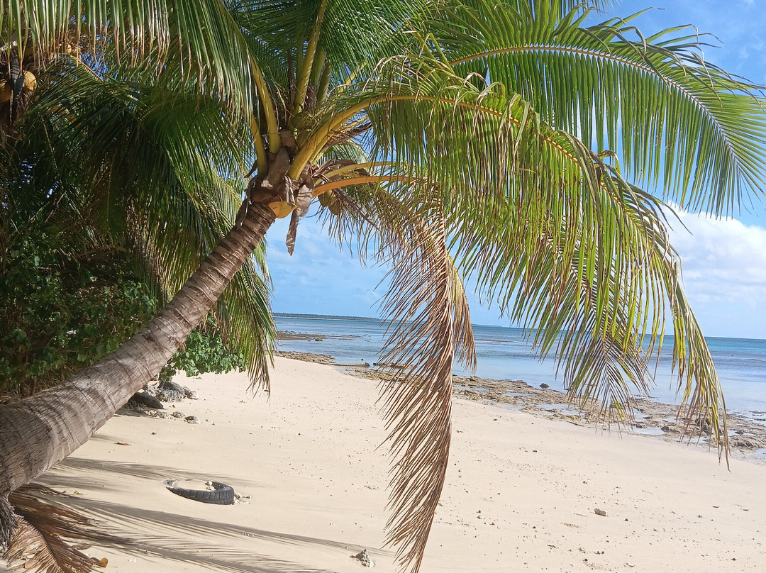 Ha'apai Beach Resort主图