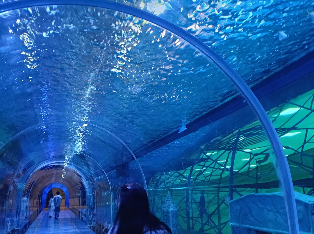 Aquarium Paradise