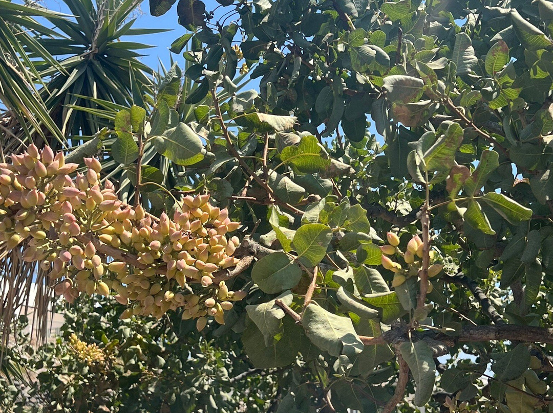 艺术空间-圣托里尼必去景点