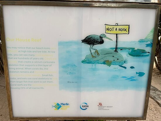 美林海滩度假村主图