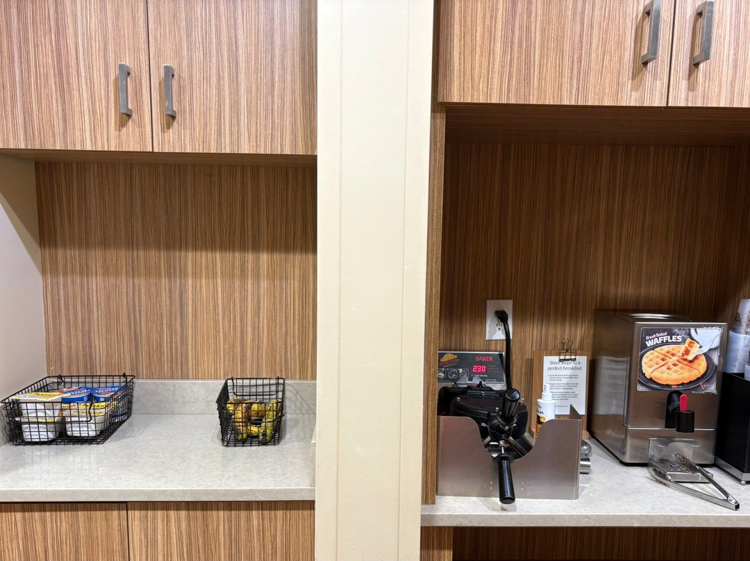 TownePlace Suites by Marriott Latham Albany Airport主图