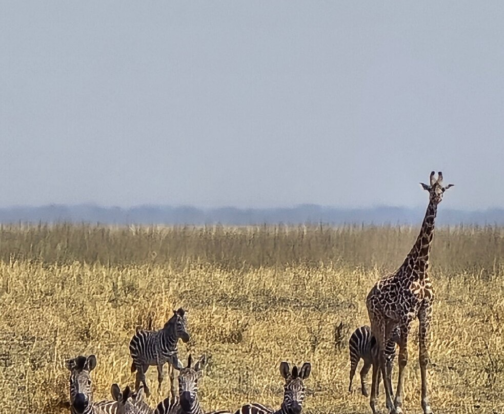 Nyasi Adventure-Dar es Salaam必去景点