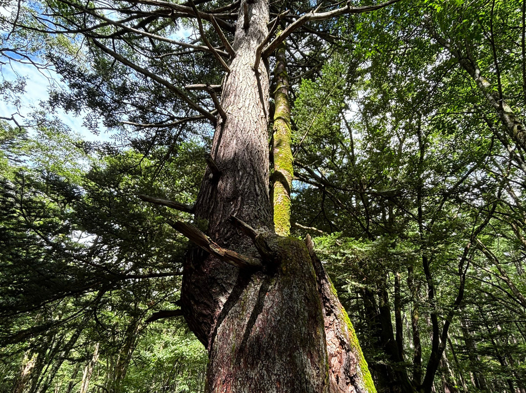 Natureguide Fivesense-松本市必去景点