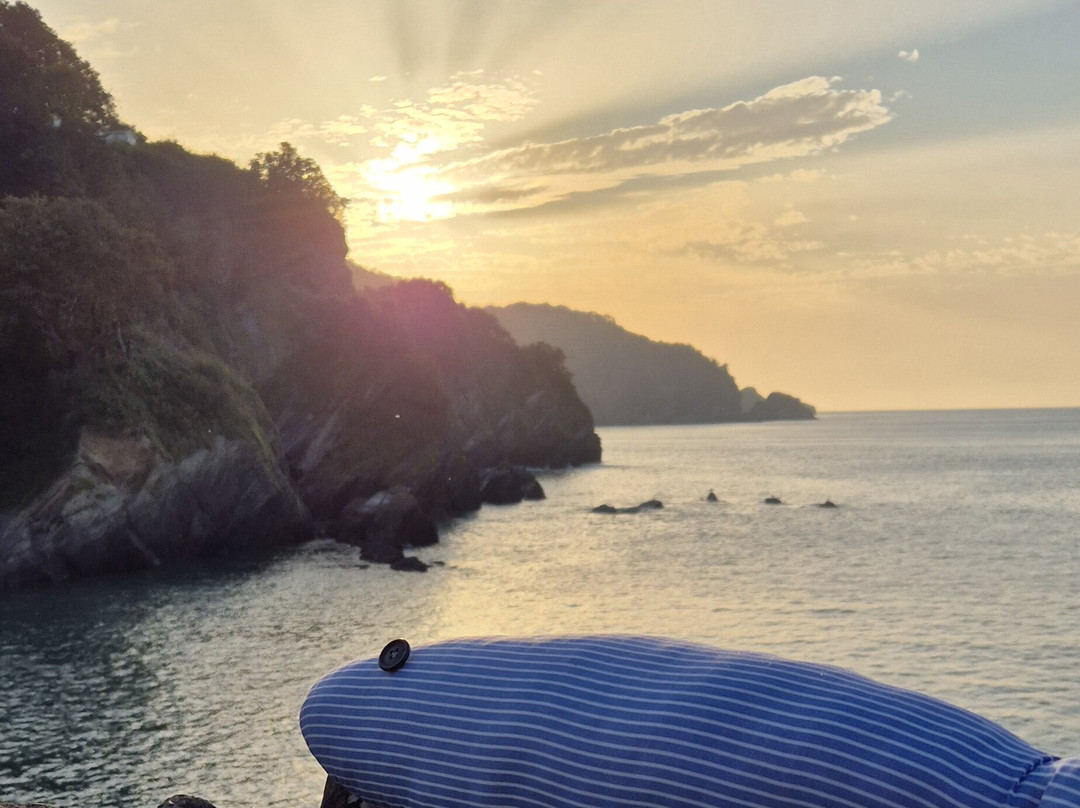 Newberry Beach Lodge B&B主图
