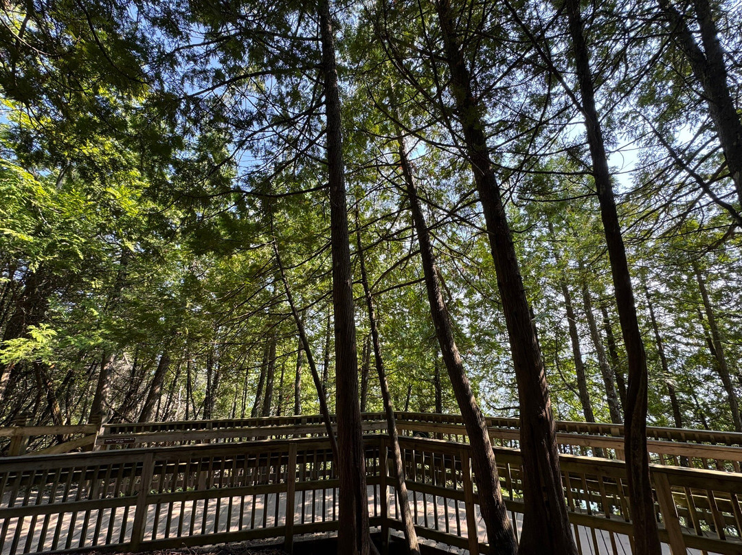 Arch Rock-麦其诺岛必去景点