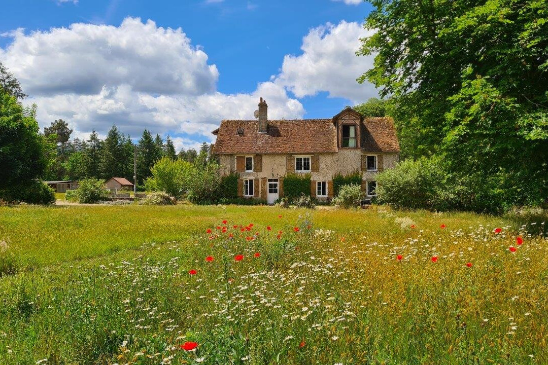 Le Moulin de Crouy主图