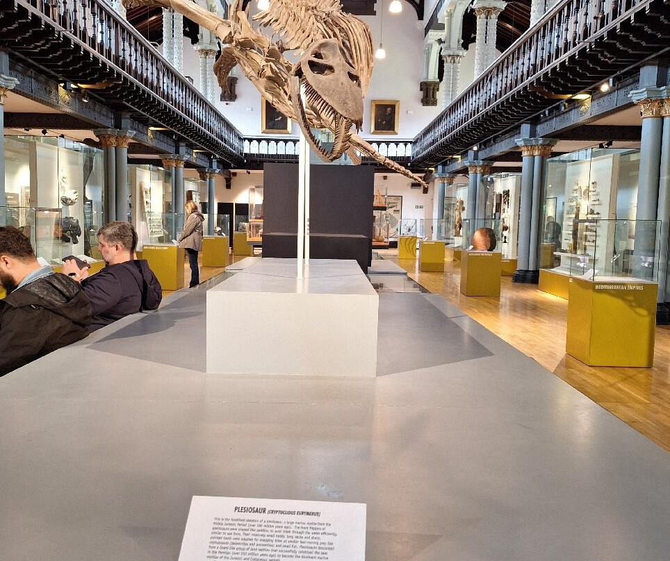 Hunterian Museum-格拉斯哥必去景点