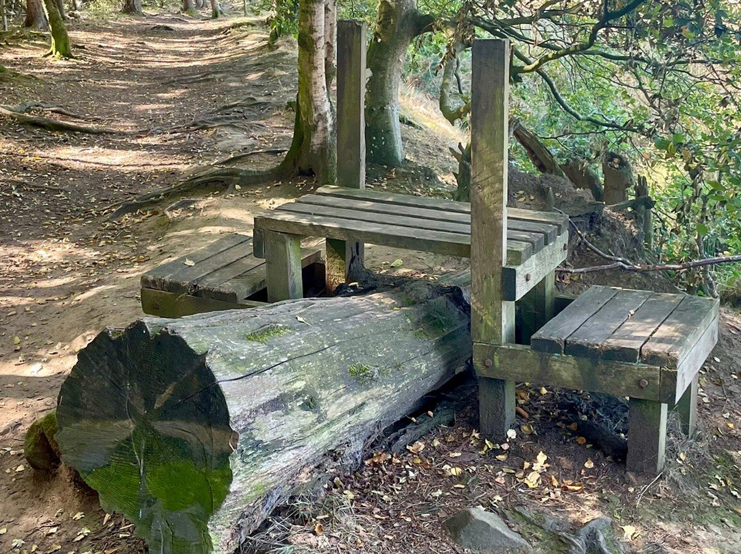 Butterdean Wood-Haddington必去景点