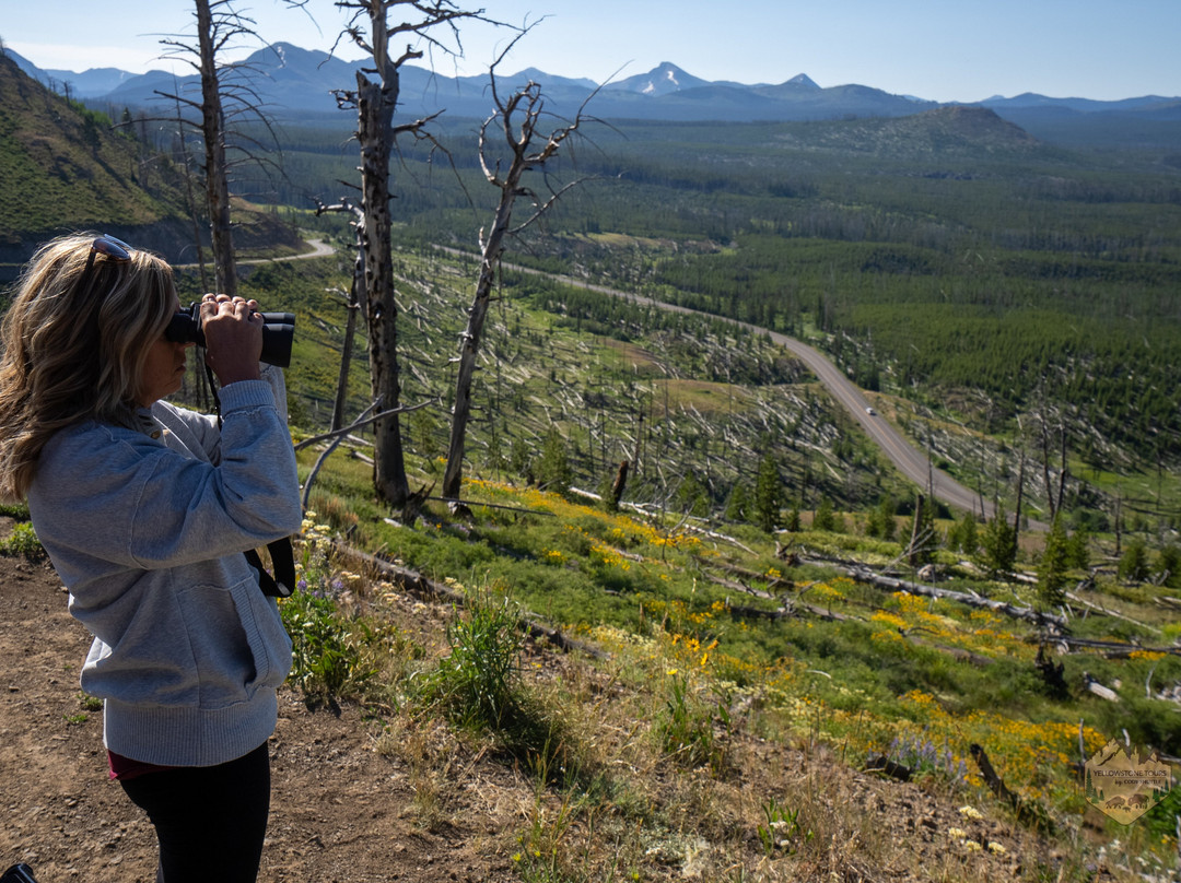 Cody Shuttle-Wapiti必去景点