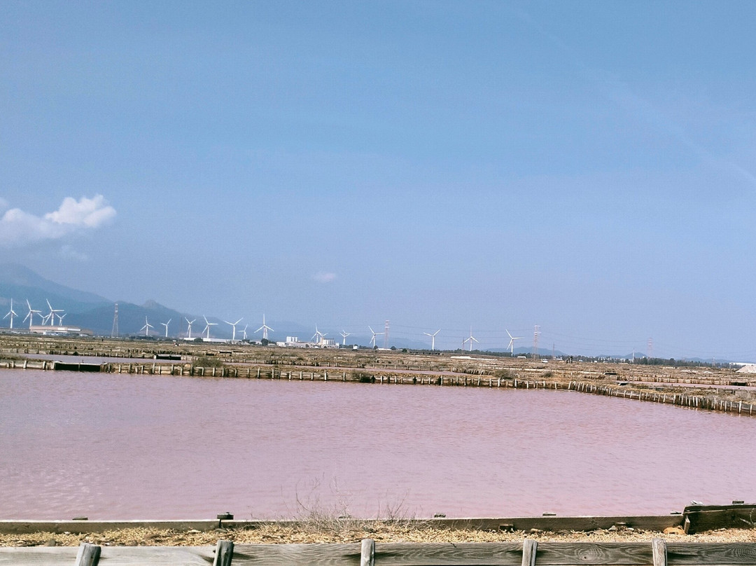 Saline Conti Vecchi-Assemini必去景点
