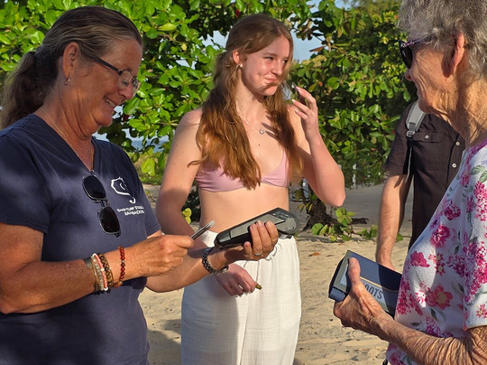 Sandy Turf Stables Barbados-Frere Pilgrim必去景点