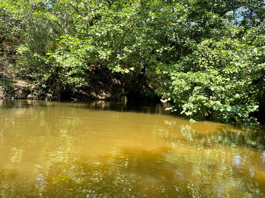 Les Bâteliers Du Courant D'huchet