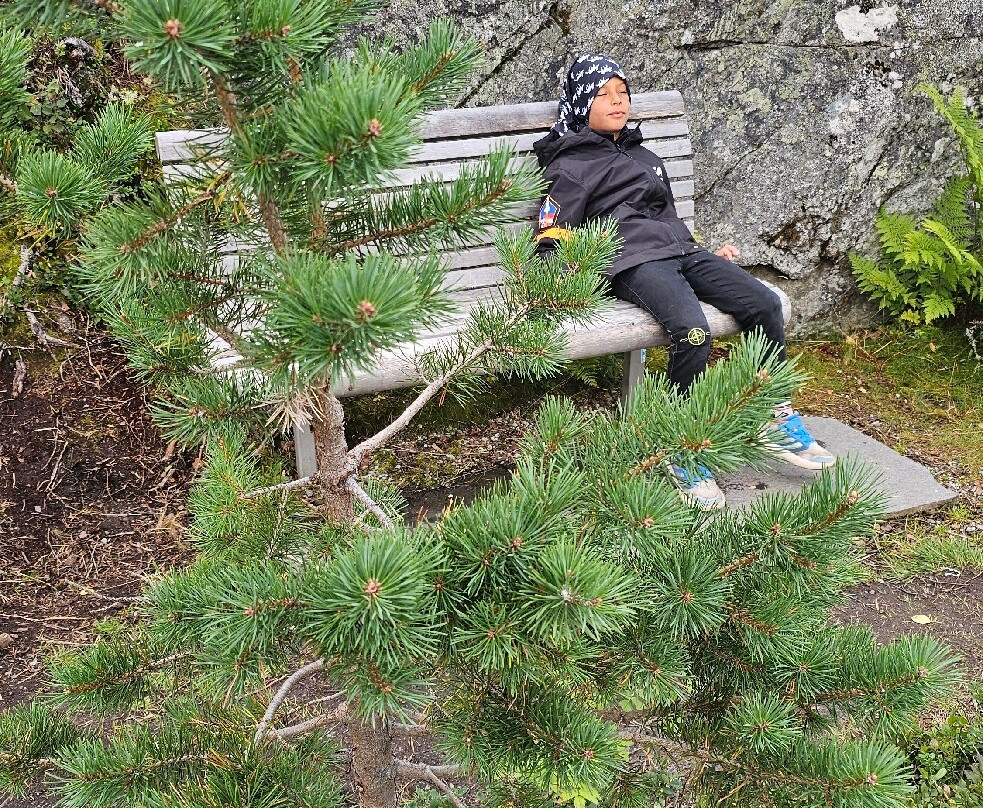 Norsk Natursenter - Hardanger-Eidfjord Municipality必去景点