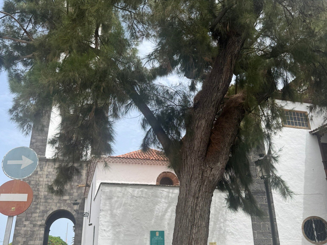 Iglesia de Nuestra Senora de la Concepcion-圣克鲁斯-德特内里费必去景点